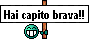 capitobrava