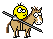 cavaliere